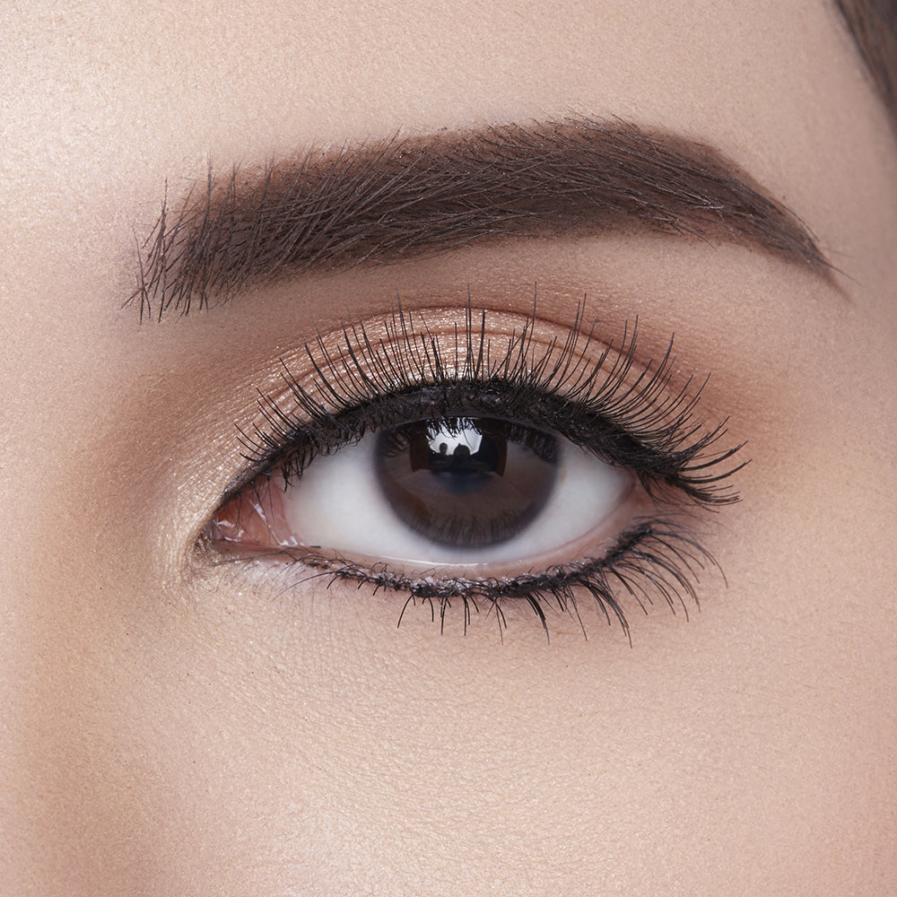 PETITE - 3141 X DONNY LIEM - Lower False Eyelashes by Artisan Professionnel